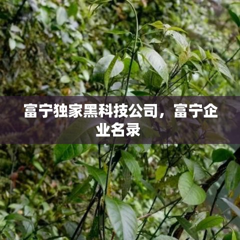富寧獨家黑科技公司，富寧企業(yè)名錄 
