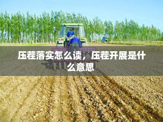 壓茬落實(shí)怎么讀，壓茬開(kāi)展是什么意思 