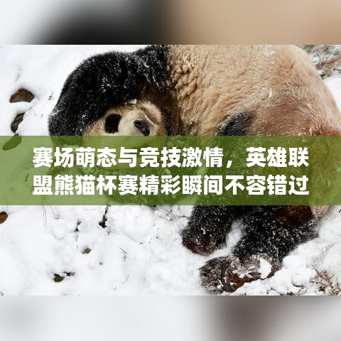 賽場萌態(tài)與競技激情，英雄聯(lián)盟熊貓杯賽精彩瞬間不容錯過！
