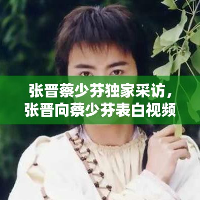 張晉蔡少芬獨(dú)家采訪，張晉向蔡少芬表白視頻 