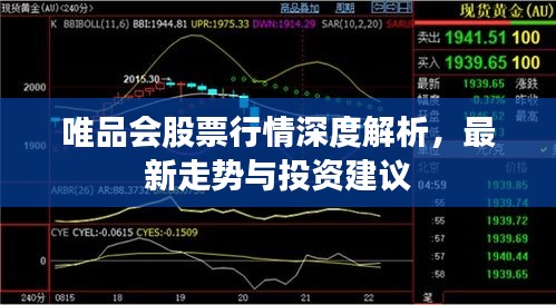 唯品會(huì)股票行情深度解析，最新走勢(shì)與投資建議