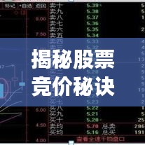 揭秘股票競價秘訣，輕松掌握股市入門技巧