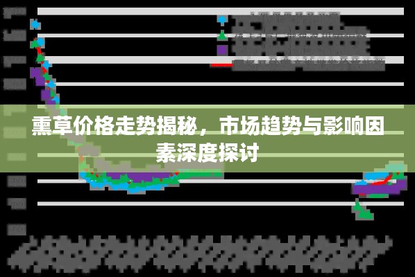 熏草價格走勢揭秘，市場趨勢與影響因素深度探討