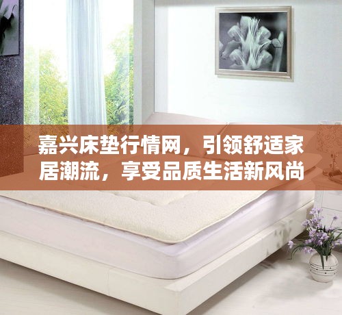 嘉興床墊行情網(wǎng)，引領(lǐng)舒適家居潮流，享受品質(zhì)生活新風(fēng)尚
