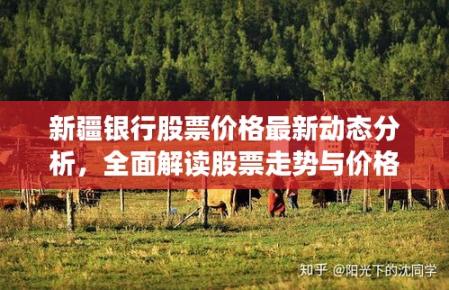 新疆銀行股票價(jià)格最新動(dòng)態(tài)分析，全面解讀股票走勢(shì)與價(jià)格表