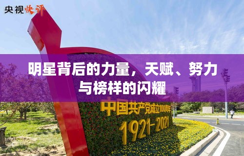 明星背后的力量，天賦、努力與榜樣的閃耀