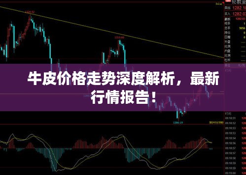 牛皮價(jià)格走勢(shì)深度解析，最新行情報(bào)告！