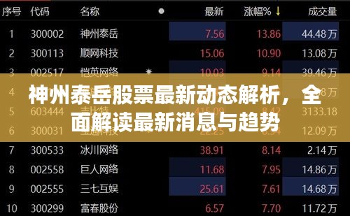 神州泰岳股票最新動(dòng)態(tài)解析，全面解讀最新消息與趨勢