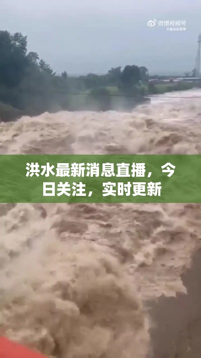 洪水最新消息直播，今日關(guān)注，實(shí)時(shí)更新