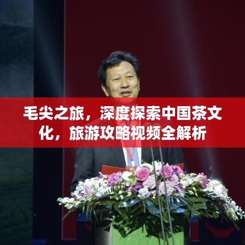 毛尖之旅，深度探索中國茶文化，旅游攻略視頻全解析