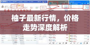 柚子最新行情，價(jià)格走勢(shì)深度解析