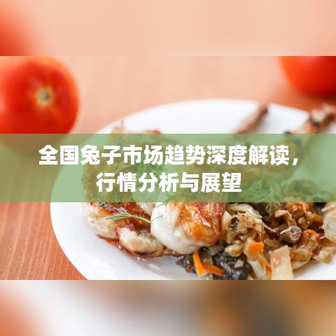 全國(guó)兔子市場(chǎng)趨勢(shì)深度解讀，行情分析與展望