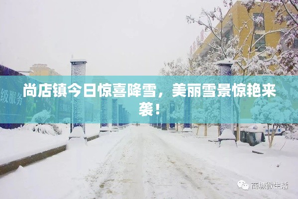 尚店鎮(zhèn)今日驚喜降雪，美麗雪景驚艷來(lái)襲！