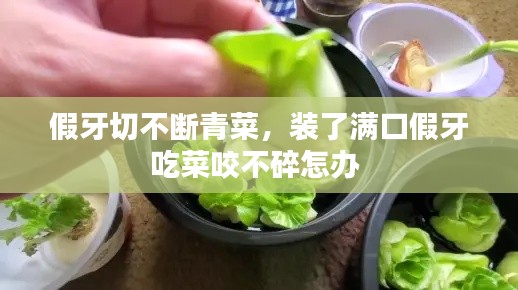 假牙切不斷青菜，裝了滿口假牙吃菜咬不碎怎辦 