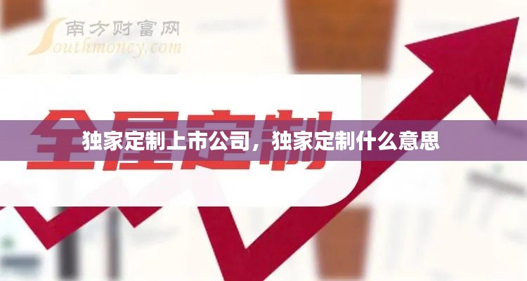 獨家定制上市公司，獨家定制什么意思 