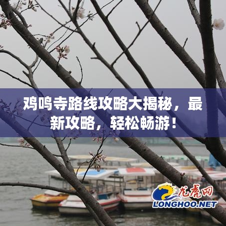 雞鳴寺路線(xiàn)攻略大揭秘，最新攻略，輕松暢游！
