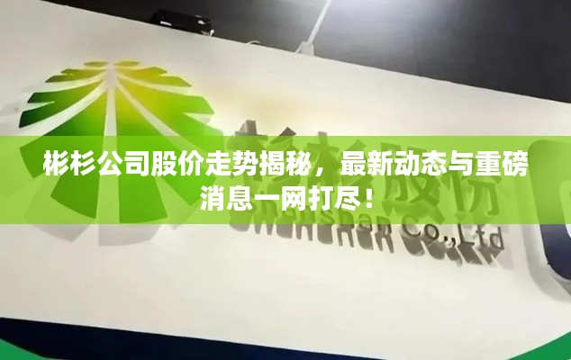 彬杉公司股價(jià)走勢揭秘，最新動態(tài)與重磅消息一網(wǎng)打盡！