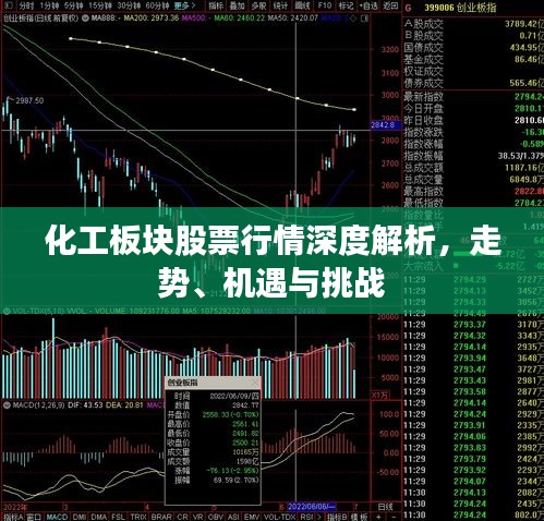 化工板塊股票行情深度解析，走勢(shì)、機(jī)遇與挑戰(zhàn)