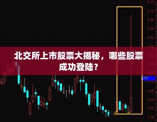北交所上市股票大揭秘，哪些股票成功登陸？