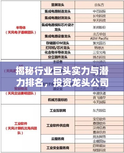 揭秘行業(yè)巨頭實(shí)力與潛力排名，投資龍頭公司的首選參考
