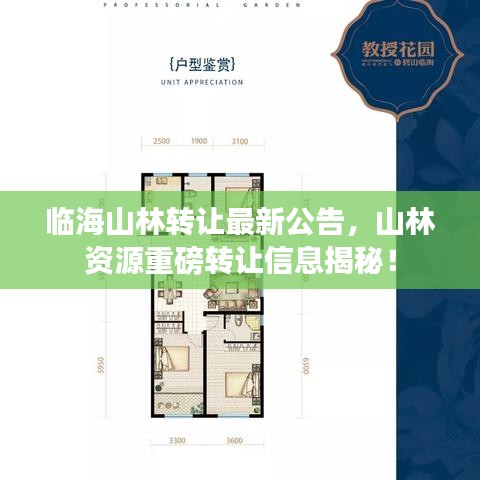 臨海山林轉(zhuǎn)讓最新公告，山林資源重磅轉(zhuǎn)讓信息揭秘！