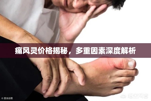 痛風(fēng)靈價(jià)格揭秘，多重因素深度解析