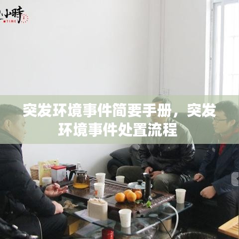 突發(fā)環(huán)境事件簡要手冊，突發(fā)環(huán)境事件處置流程 