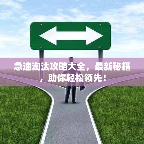 急速淘汰攻略大全，最新秘籍，助你輕松領(lǐng)先！