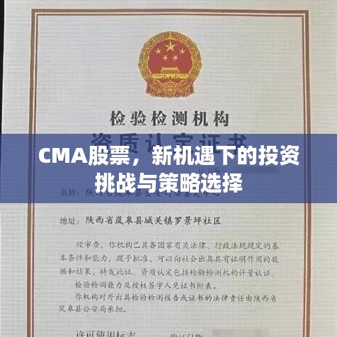 CMA股票，新機(jī)遇下的投資挑戰(zhàn)與策略選擇