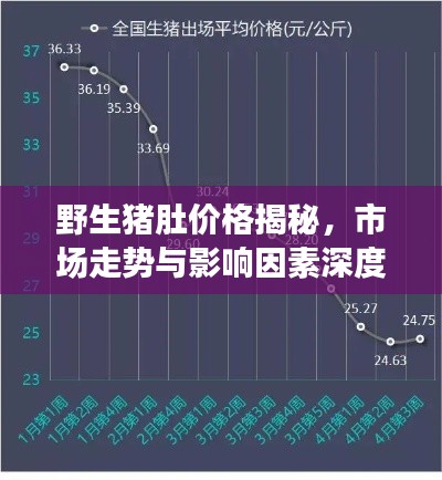 野生豬肚價(jià)格揭秘，市場走勢與影響因素深度解析