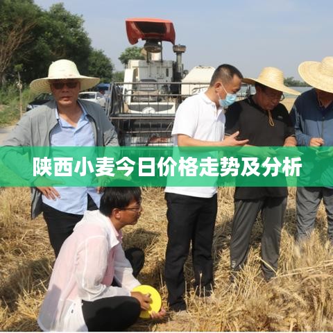 心急如焚 第2頁
