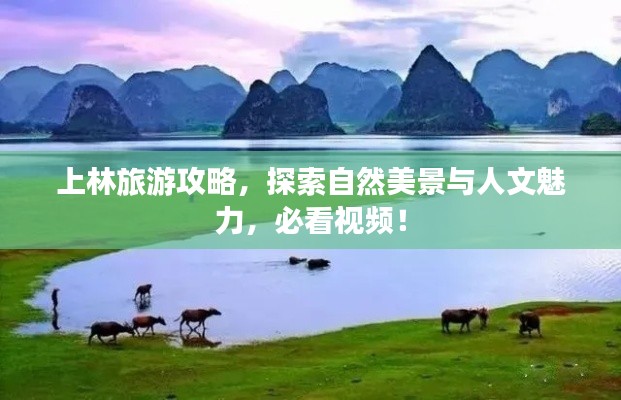 上林旅游攻略，探索自然美景與人文魅力，必看視頻！