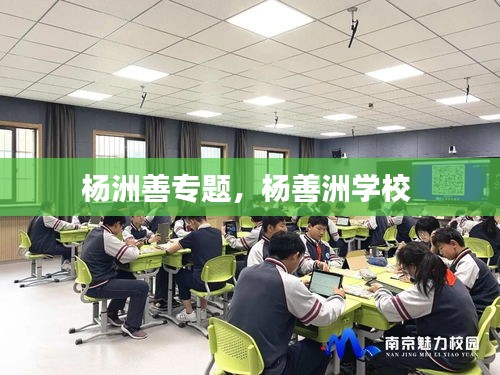 楊洲善專題，楊善洲學校 