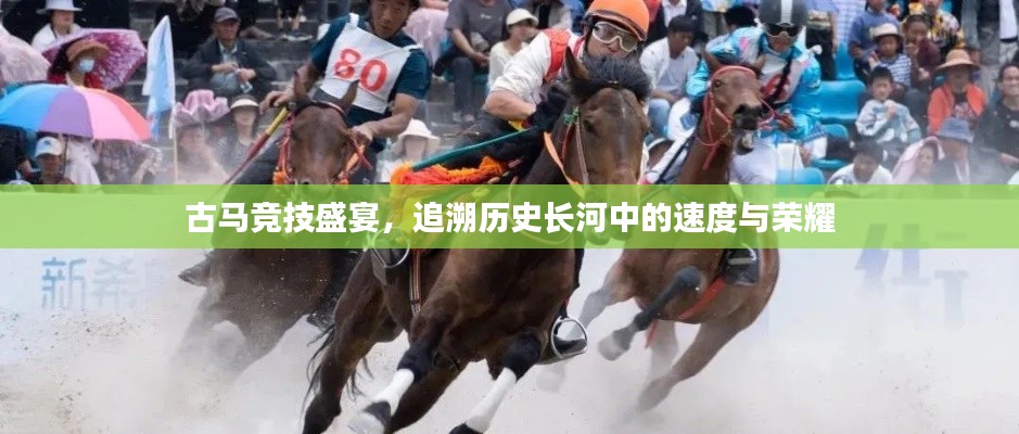 古馬競技盛宴，追溯歷史長河中的速度與榮耀