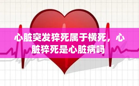 心臟突發(fā)猝死屬于橫死，心臟猝死是心臟病嗎 
