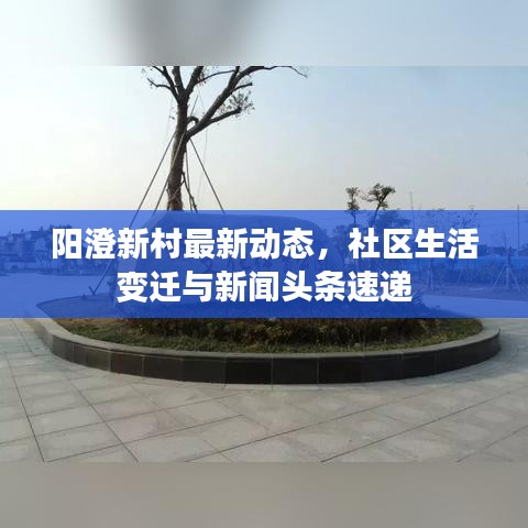 陽澄新村最新動態(tài)，社區(qū)生活變遷與新聞頭條速遞