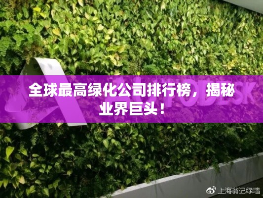 全球最高綠化公司排行榜，揭秘業(yè)界巨頭！