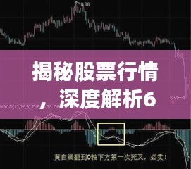 揭秘股票行情，深度解析600761走勢(shì)