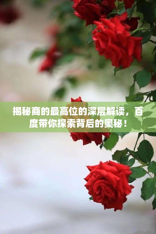 揭秘商的最高位的深層解讀，百度帶你探索背后的奧秘！