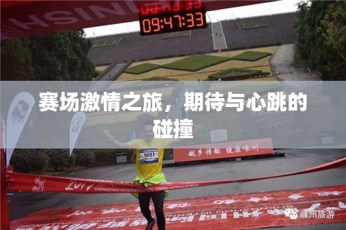 賽場(chǎng)激情之旅，期待與心跳的碰撞