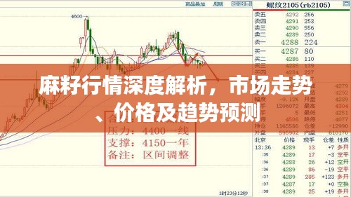麻籽行情深度解析，市場走勢、價(jià)格及趨勢預(yù)測