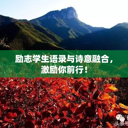 勵志學(xué)生語錄與詩意融合，激勵你前行！