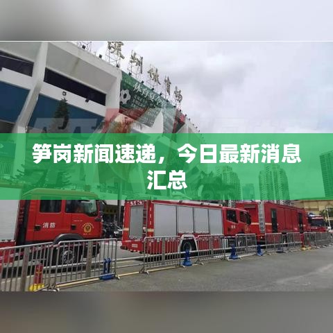 筍崗新聞速遞，今日最新消息匯總