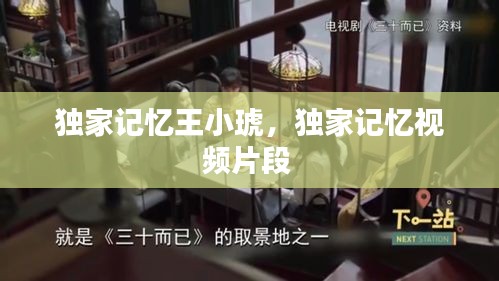 獨家記憶王小琥，獨家記憶視頻片段 
