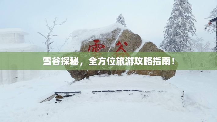 雪谷探秘，全方位旅游攻略指南！