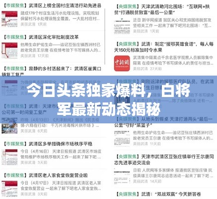 今日頭條獨(dú)家爆料，白將軍最新動態(tài)揭秘