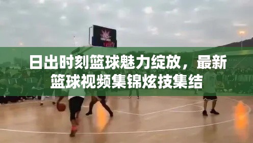 日出時(shí)刻籃球魅力綻放，最新籃球視頻集錦炫技集結(jié)