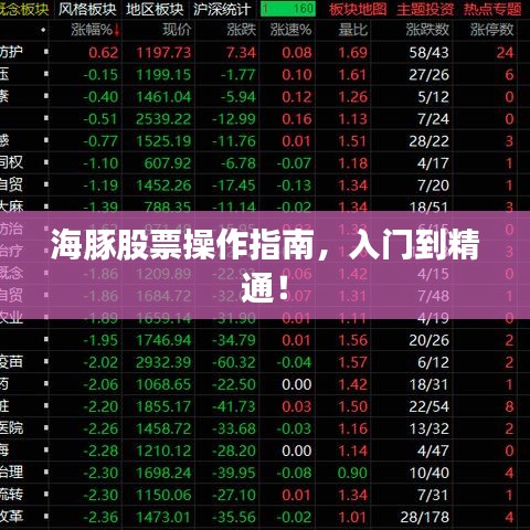 海豚股票操作指南，入門到精通！