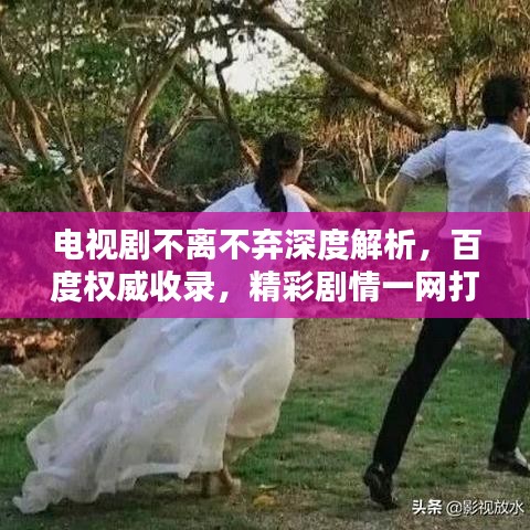 電視劇不離不棄深度解析，百度權(quán)威收錄，精彩劇情一網(wǎng)打盡！
