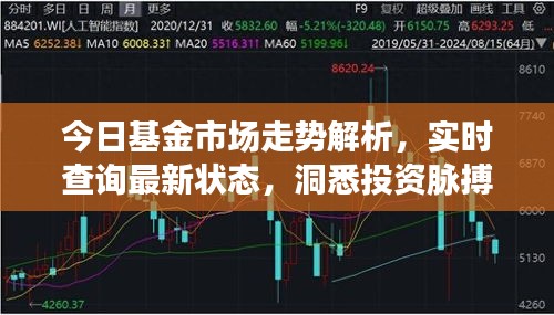 今日基金市場(chǎng)走勢(shì)解析，實(shí)時(shí)查詢最新狀態(tài)，洞悉投資脈搏，把握財(cái)富機(jī)遇！